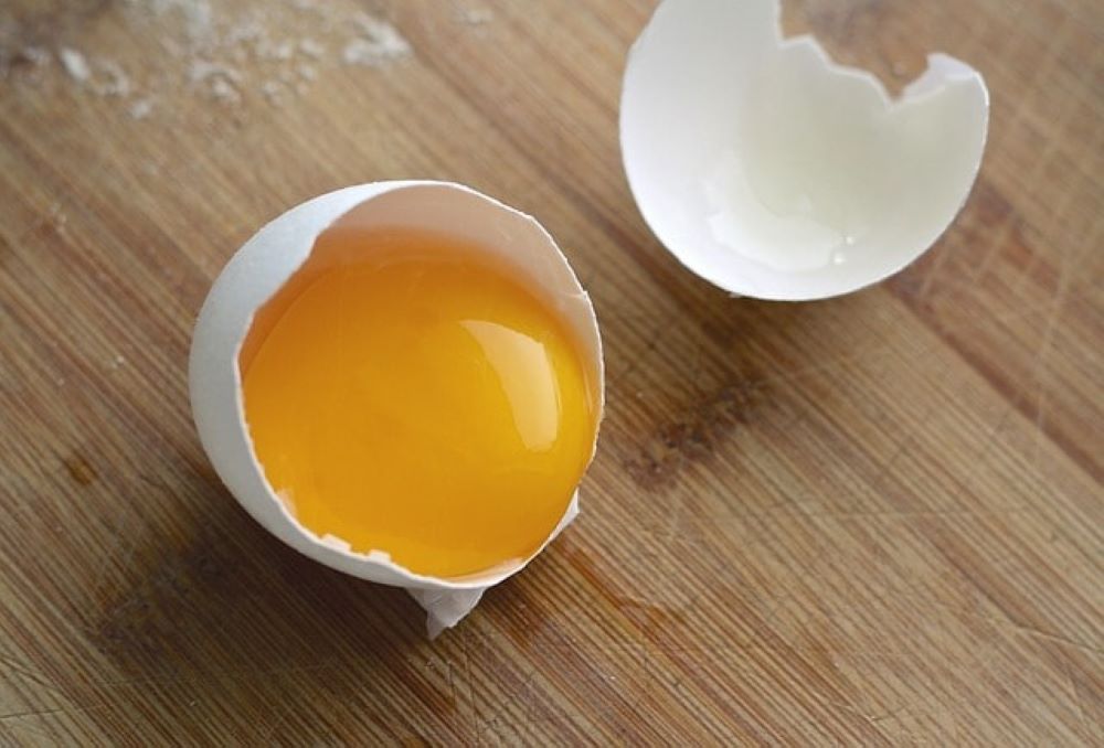 cracked egg shell