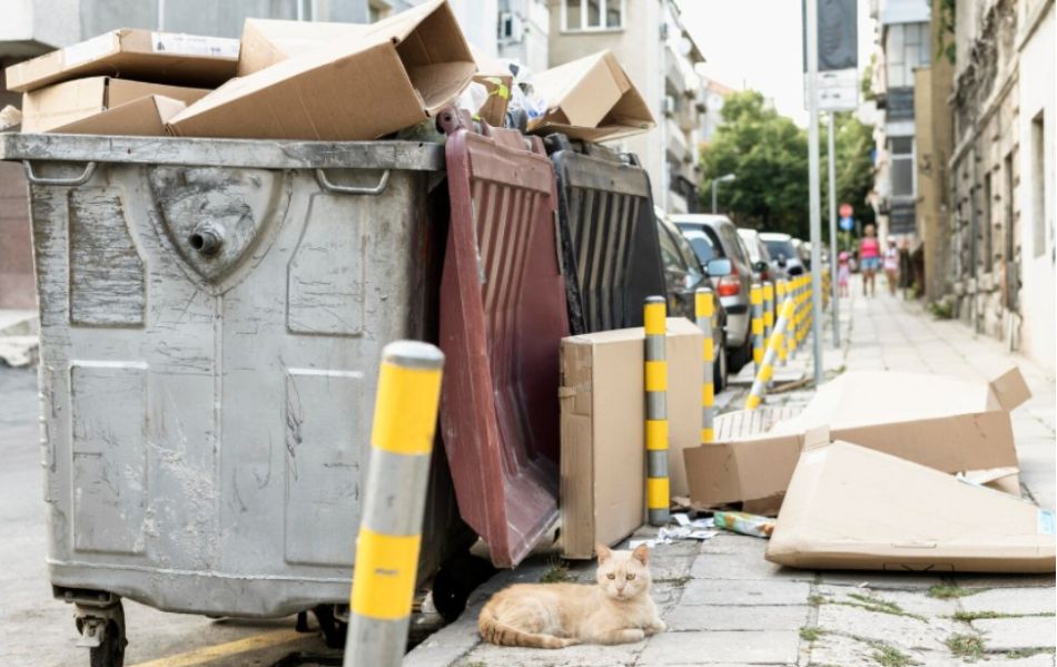 overflowing bin